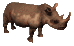 Gif animé rhinocéros marron